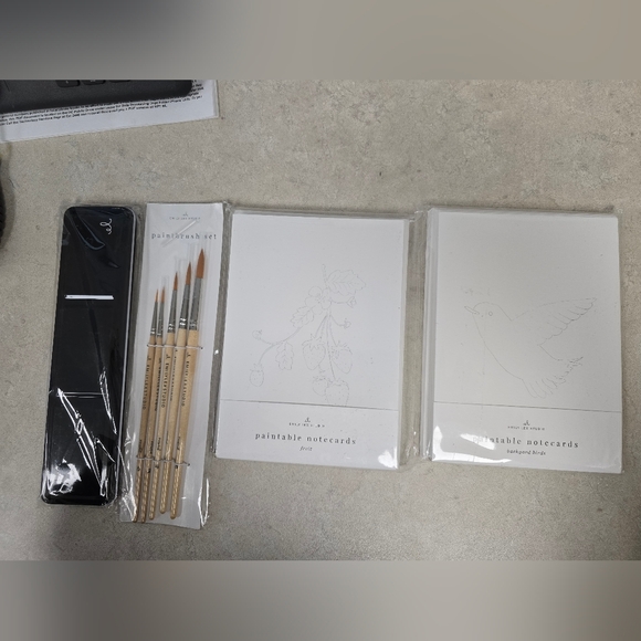 Emily Lex Set Of 2 Notecard Packages Brushes And Paint